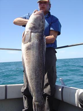 GIGANTES DEL MAR